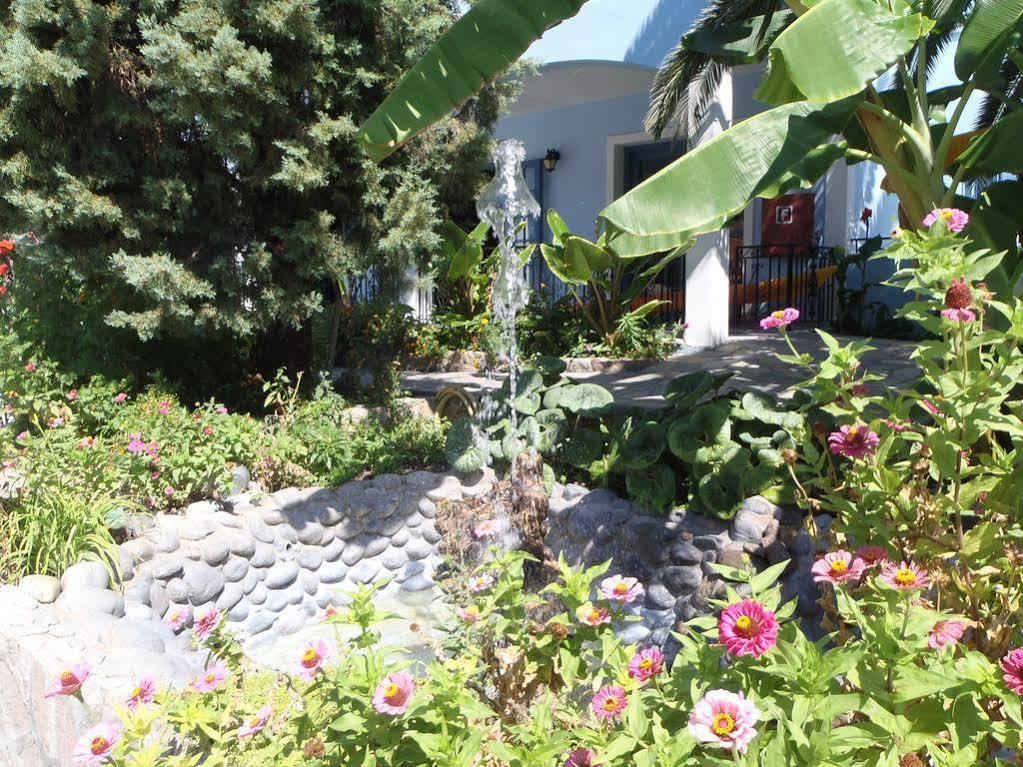Blue Sky Hotel - Petra - Lesvos - Greece Exterior foto